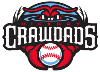 Yolfran Castillo headshot