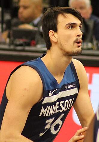 Dario Saric headshot