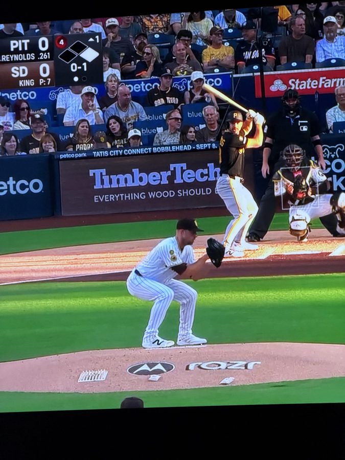 Is this guy bouncing on Casper every pitch? What the fuck is this stupid ass windup/dook drop?